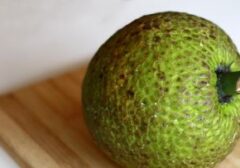 Sukun Disebut Berpotensi Jadi Superfood Masa Depan Indonesia