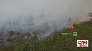 Kebakaran Hutan di Kalimantan Makin Parah, Asap Tebal Selimuti Jalan Raya