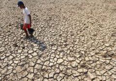 PBB Beri Peringatan Keras: El Nino Bak Bensin di Tengah Kebakaran Global