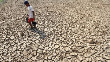 PBB Beri Peringatan Keras: El Nino Bak Bensin di Tengah Kebakaran Global