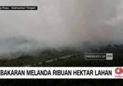 Karhutla di Kalimantan Selatan Makin Parah, Ribuan Hektare Lahan Hangus Terbakar