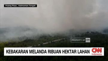 Karhutla di Kalimantan Selatan Makin Parah, Ribuan Hektare Lahan Hangus Terbakar