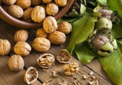 Bukan Cuma Sehat, 8 Makanan Lezat Ini Ampuh Cegah Pikun
