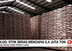 Bulog Jamin Ketersediaan Beras Nasional Tembus 5,4 Juta Ton