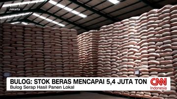 Bulog Jamin Ketersediaan Beras Nasional Tembus 5,4 Juta Ton