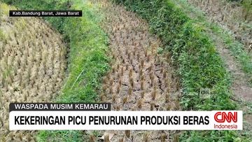 Dampak Kemarau Panjang: Warga Parepare Krisis Air Bersih hingga Gagal Panen