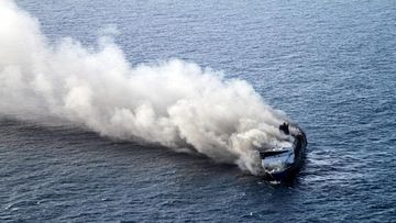 Kuda Pacu Juara Nasional Asal Jeneponto Jadi Korban Kebakaran KMP Mutiara Sentosa II