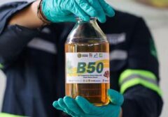 BPS: Kebijakan Biodiesel B50 Berpotensi Pangkas Ekspor Sawit di 2026