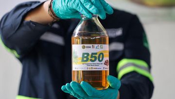 BPS: Kebijakan Biodiesel B50 Berpotensi Pangkas Ekspor Sawit di 2026