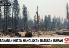 Kebakaran Hutan Dahsyat di Washington: Ratusan Rumah Ludes, Ribuan Warga Mengungsi