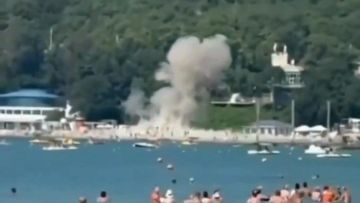 Insiden Pesawat Nirawak Jatuh di Pesisir Pantai Gelendzhik Rusia