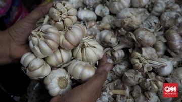 Harga Bawang Putih Melonjak di 248 Daerah, BPS Beri Peringatan Inflasi