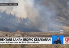 Kebakaran Landa Lereng Gunung Bromo, 15 Hektare Lahan Hangus