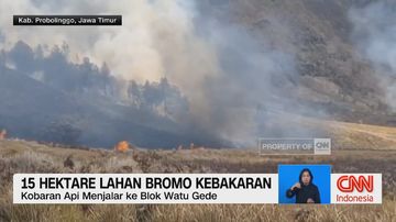 Kebakaran Landa Lereng Gunung Bromo, 15 Hektare Lahan Hangus