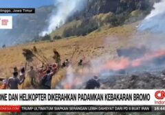 Perjuangan Padamkan Karhutla Bromo: Helikopter dan Drone Dikerahkan