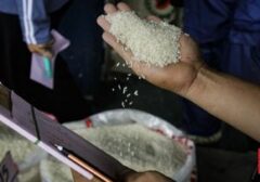 Bapanas Usut Penyebab Harga Beras Fortifikasi Melambung Tinggi