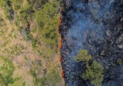 Kebakaran Lahan 70 Hektare Melanda Gunung Bromo, Akses Wisata Ditutup Total