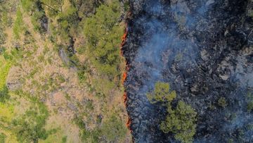 Kebakaran Lahan 70 Hektare Melanda Gunung Bromo, Akses Wisata Ditutup Total