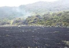 Kebakaran Lahan Landa Alun-alun Suryakancana Gunung Gede Pangrango, Api Berhasil Dipadamkan