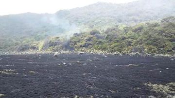 Kebakaran Lahan Landa Alun-alun Suryakancana Gunung Gede Pangrango, Api Berhasil Dipadamkan